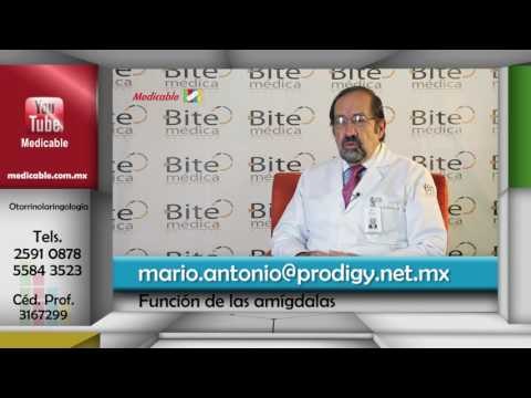 ¿Cuál es la función de las amígdalas?