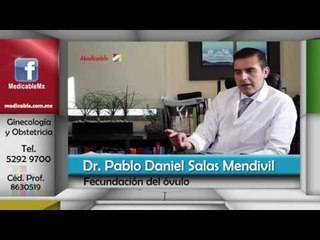 ¿Qué pasa después de la fecundación del óvulo?