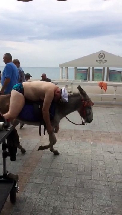 Il dort sur le dos d'un âne