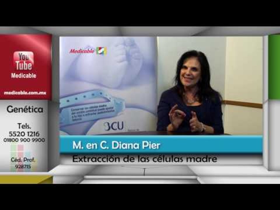 ¿Cómo es el procedimiento de extracción de las células madre?