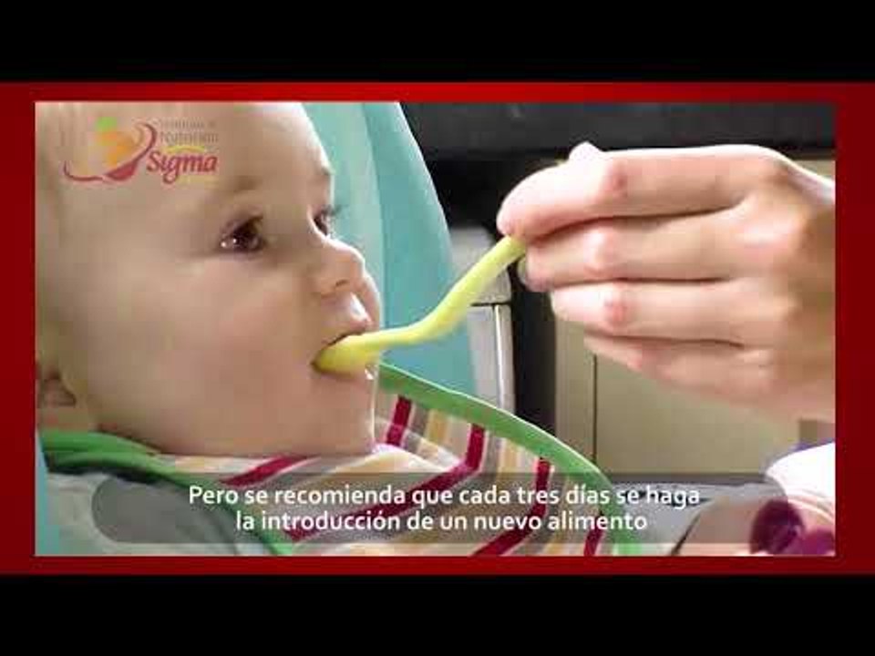SIGMA -  ALIMENTACIÓN EN EL 1er  AÑO DE VIDA