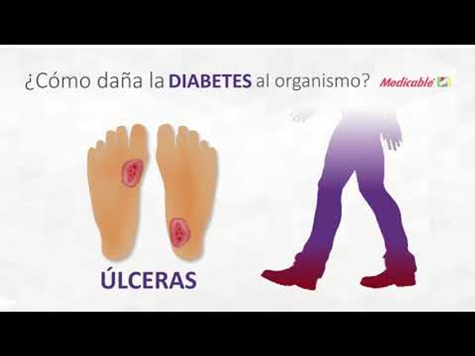 ¿CÓMO DAÑA LA DIABETES AL ORGANISMO?