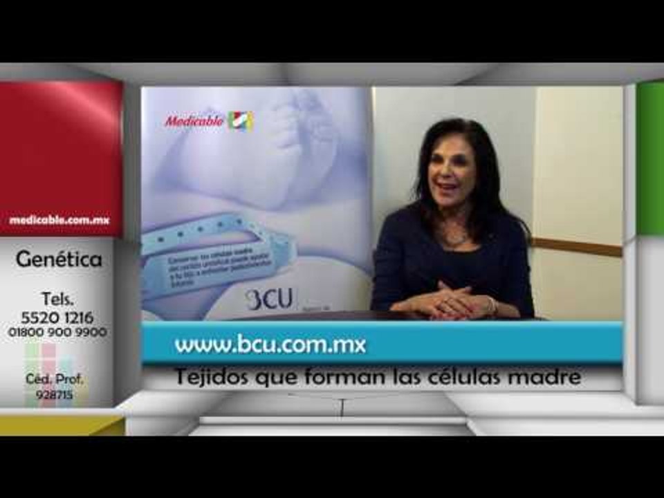 ¿Qué tejidos pueden formar las células madre?