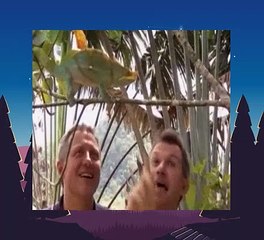 Wild Kratts S03E19 Chameleons on Target