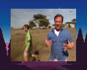 Wild Kratts - Bad Hair Day