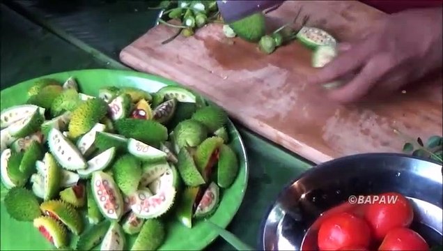 Sain Village Aliments Cuisine Épineux de la Gourde dans mon Village par ma Maman