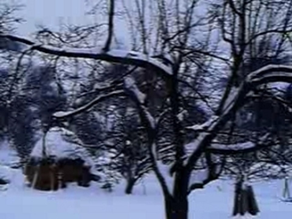 Bucje-Padina-Hiver 2007