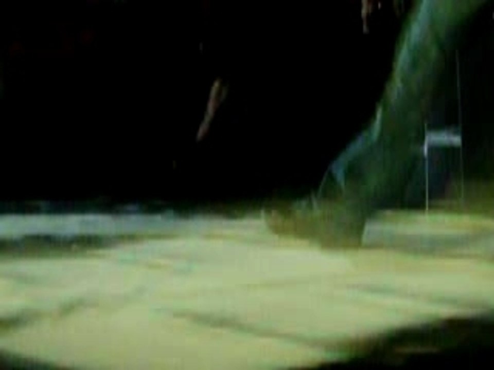 Tokio Hotel à Nantes übers ende der welt