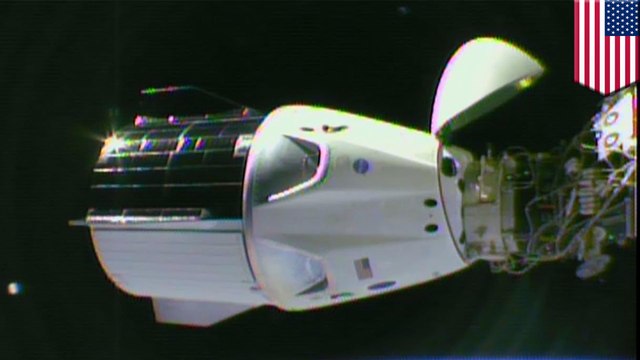 SpaceX Dragon capsule successfully docks with ISS