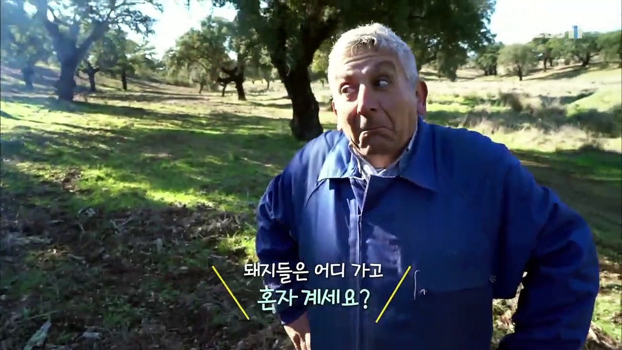 세계테마기행 - 스페인 소도시 기행 2부- 그 후로도 오랫동안, 살라망카_#001