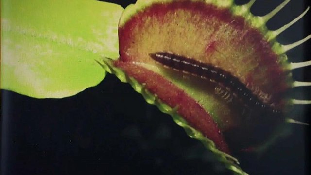 Rendez-vous: Миланская Триеннале и цифровой Ван Гог