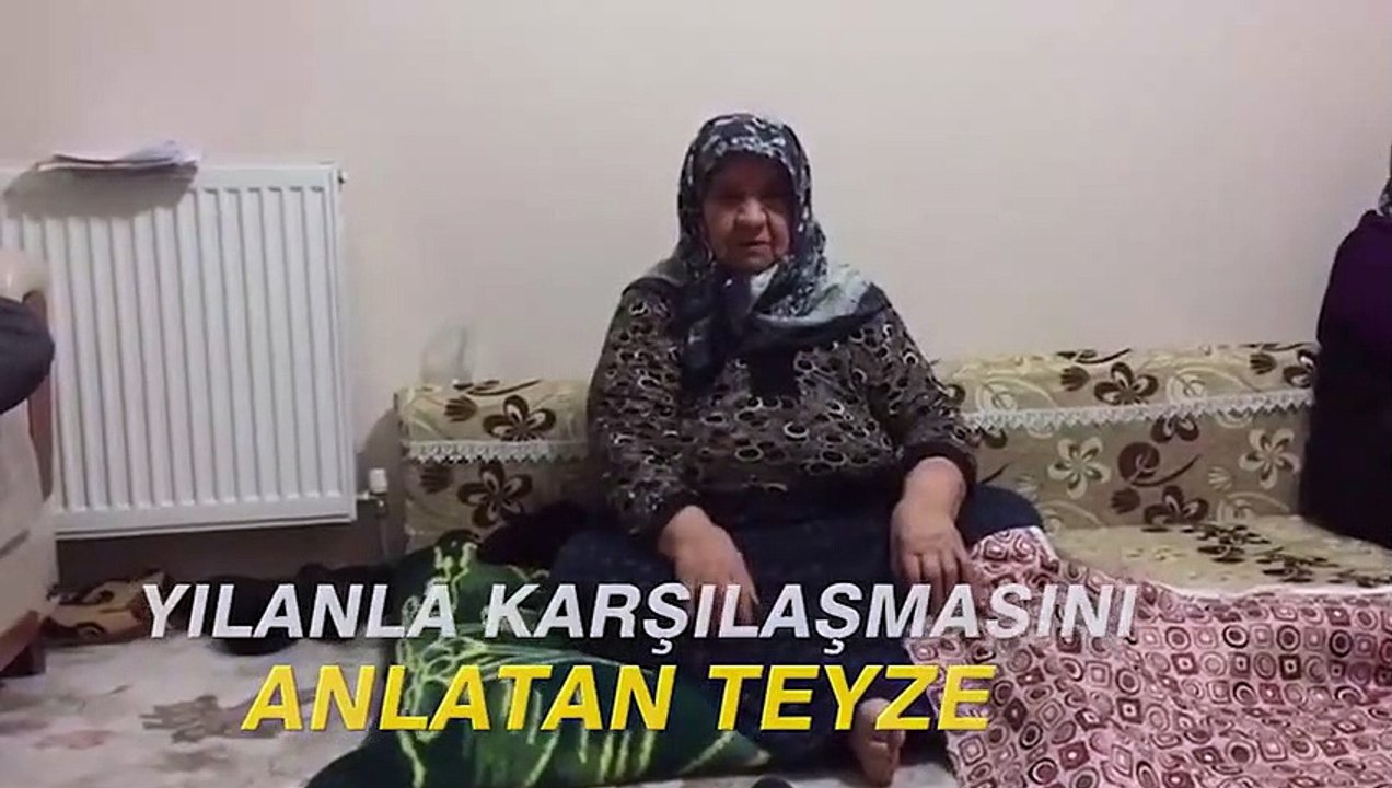 Yılanla karşılaştığı anları anlatan teyze