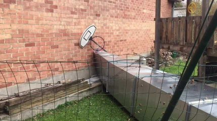 LIEGE - Le vent fait des dégâts à la piscine de Grivegnee