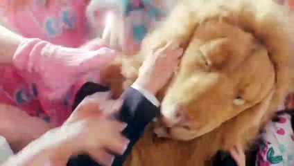 정선출장안마 -{카톡ZM82 }⊀Ö1Ô-5120-9904⊁정선출장마사지'20대'정선출장안마 출장안마코스 정선출장안마 정선출장맛사지-황제정선출장맛사지-정선콜걸.