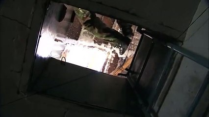 연천출장안마 -100%ョ안전Ø1Øk2671c8135【CN4989카톡】연천전지역출장마사지샵연천출장hk안마co연천출장마사지황형どなに출장콜걸콜걸샵