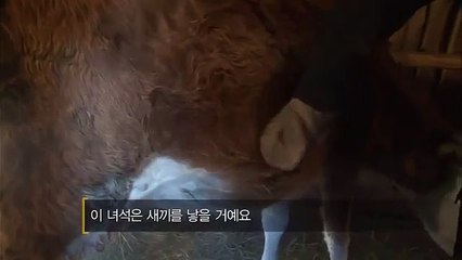 진천출장안마 -100%ョ안전Ø7Øk4906n6329{카톡CK654}진천전지역출장마사지샵진천출장hk안마co진천출장마사지황형キギク출장안마후기미인아가씨