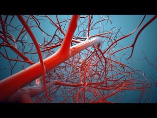 عسل أبيض : طرق جديدة لعلاج الأوعية الدموية