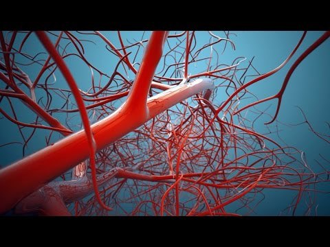 عسل أبيض : طرق جديدة لعلاج الأوعية الدموية