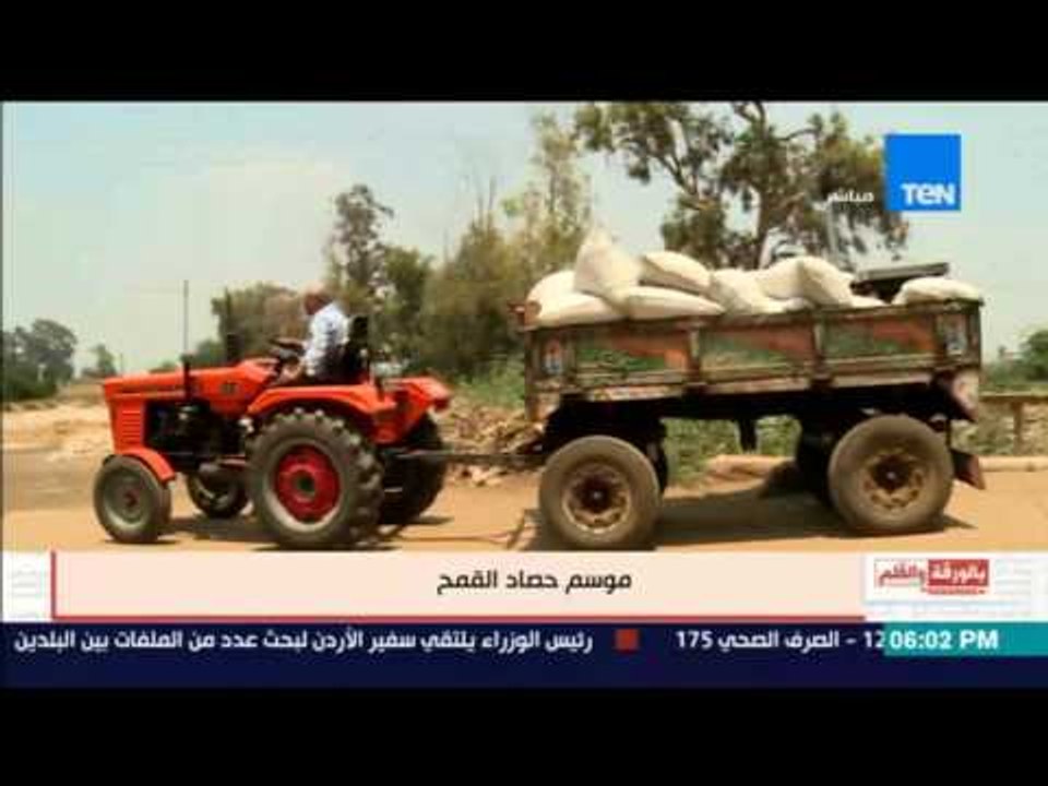 بالورقة والقلم - موسم حصاد القمح