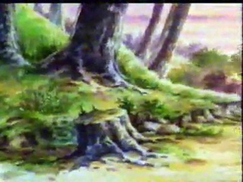 The Animals of Farthing Wood S02E01 A Heroes' Welcome