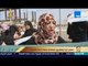 رأي عام | أهالي غزة يتظاهرون للمطالبة بإنهاء أزمة الكهرباء