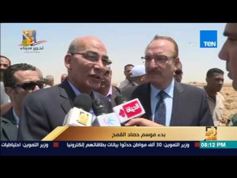 رأي عام | 4 ملايين طن قمح يتوقع وزير التموين استلامها خلال موسم الحصاد الحالى