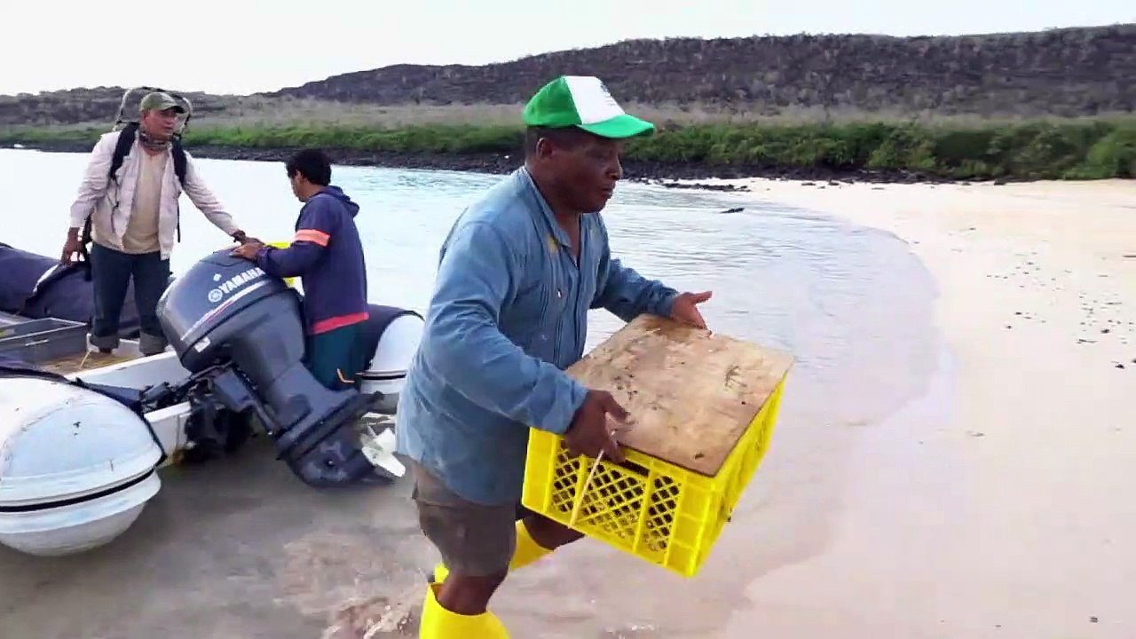 Repovoamento em Galápagos