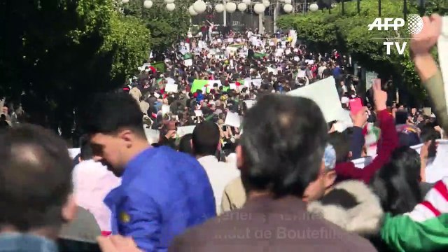 Manifestations en Algérie: des Algériens s'expriment