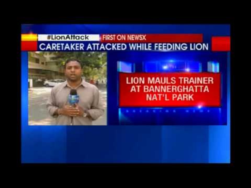 Lion mauls trainer at Bannerghatta national park