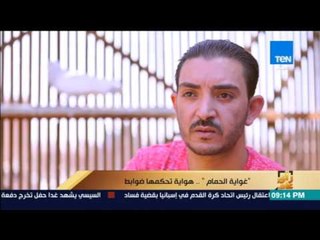 رأى عام - تقرير| "غواية الحمام"...هواية تحكمها ضوابط وإسلوب حياة