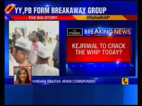 Yogendra Yadav, Prashant Bhushan to be expelled today from AAP