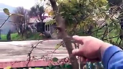 Breaking News : Indian Army Ki Gola Baari Phir Shuru