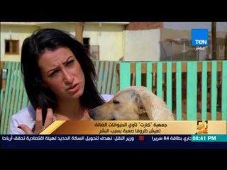 رأى عام - تقرير| جمعية "كارت" تأوي الحيوانات الضالة