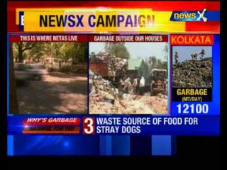 Garbage on streets: NGT notice to Delhi government, EDMC