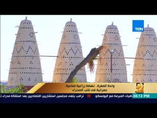 رأى عام - "واحة المغرة".. نهضة زراعية صناعية عمرانية في قلب الصحراء - فقرة كاملة