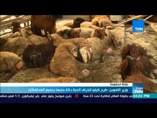موجز TeN - وزير التموين: طرح كيلو الخراف الحية بـ 60 جنيها بجميع المحافظات