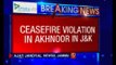 Pakistan violates ceasefire in Jammu & Kashmir, 1 BSF jawan injured