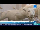 أخبار TEN - تقرير | متحف لبناني يضم 3 آلاف حيوان محنط متعددة الأنواع