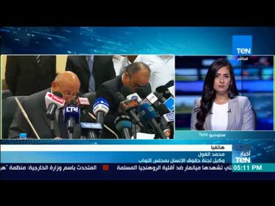 موجز TeN - "الوطنية للمصريين بالخارج: "هيومن رايتس ووتش" مغلوط ويقوم على ازدواجية المعايير