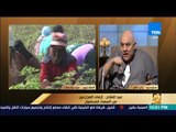 رأى عام - الحاج محمد برغش: هناك محالج بيعت من 15 إلى 35 ألف جنيه للمتر أثرت سلباً على إنتاج القطن