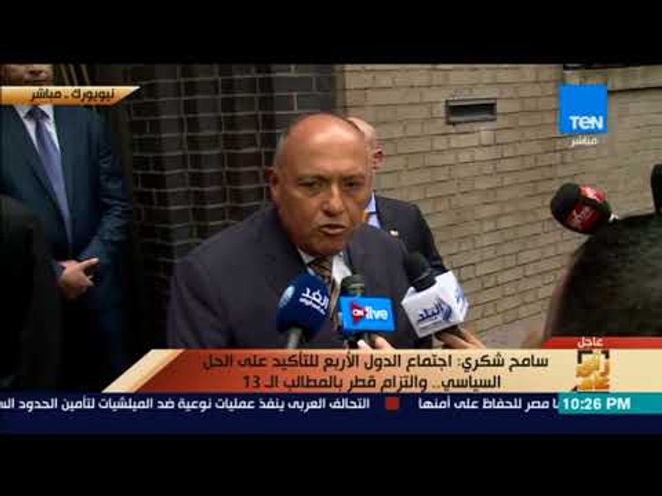 رأى عام - سامح شكري: مصرون على موقفنا تجاه الأزمة القطرية وما يحقق استقرار المنطقة العربية