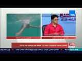 مصر فى اسبوع - حوار مع السباح محمد الحسيني .. بطل مصري فوق العادة