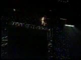Wwe - Wcw - Sting falls 45 feet on fire