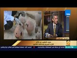 رأى عام - الدكتور خالد سعد: أرقام فلكية تُدفع في الآثار المصرية وهو ما يدفع المصريين للتنقيب عنها