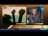 رأى عام - الكاتب محمد الشافعي: كان هناك مخطط لجعل الكيان الصهيوني قوة عظمى في الشرق الأوسط