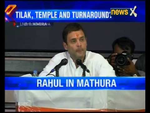 Work like Steve Jobs' Apple: Rahul Gandhi