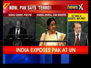Pakistan says 'Terror a Bogey',Jammu and Kashmir core issue