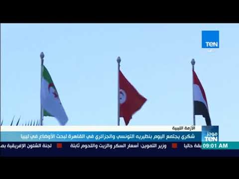 موجز TeN - شكري يجتمع اليوم بنظيريه التونسي والجزائري في القاهرة لبحث الأوضاع في ليبيا