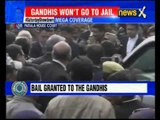 National Herald Case: Sonia Gandhi and Rahul Gandhi granted bail