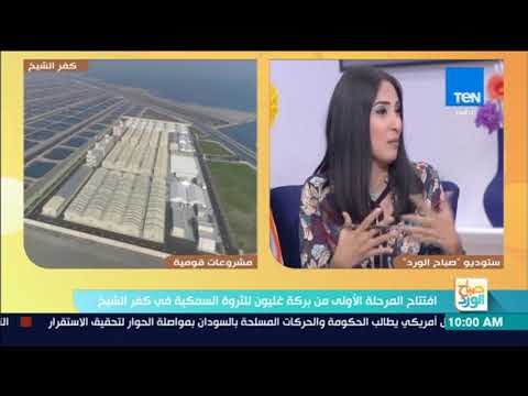 صباح الورد - فقرة خاصة عن افتتاح المرحلة الأولى من بركة غليون للثروة السمكية في كفر الشيخ